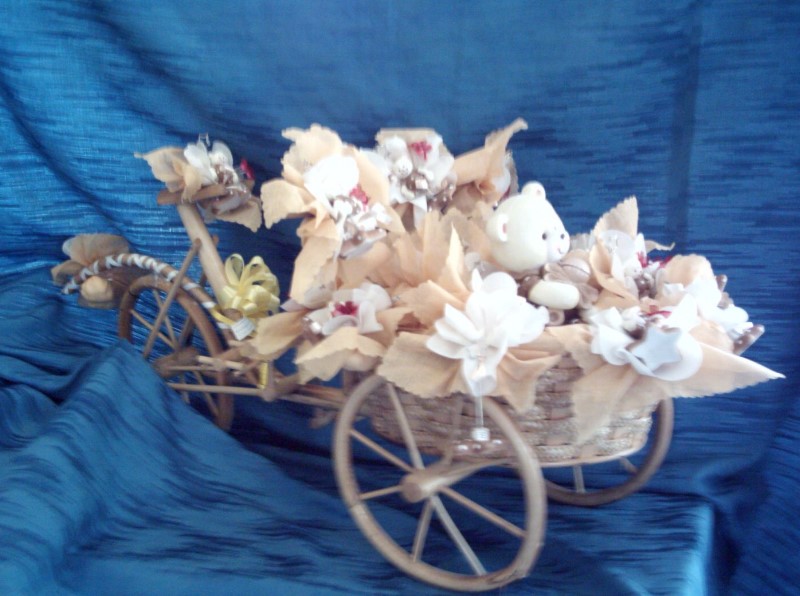 ../Images/velo_bapt3_6_07.jpg
