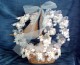 Thumbs/tn_bateau_bapt22_4_07.jpg