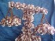Thumbs/tn_bal_mariage24_6_07.jpg