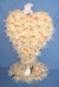 Thumbs/tn_coeur_9_9_06.jpg