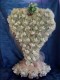 Thumbs/tn_coeur_mariage14_7_07.jpg