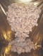 Thumbs/tn_coeur_tulle_bord.jpg