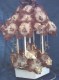 Thumbs/tn_manege_ours07.jpg