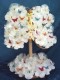 Thumbs/tn_papillon_pap07.jpg