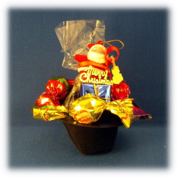 ../Images/chapeau_noel1_2009.jpg