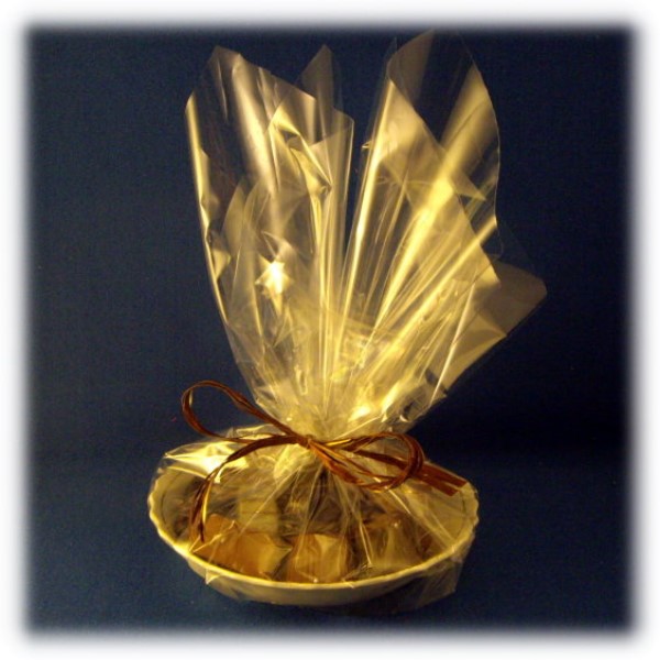 ../Images/coquille2.jpg